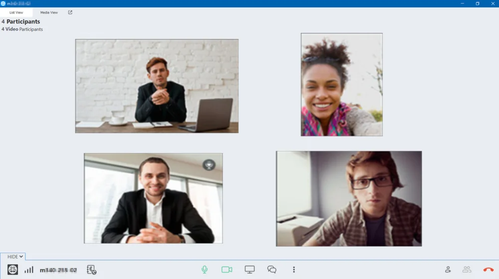 TeamViewer Meeting 2 Главное окно TeamViewer Meeting с панелью управления